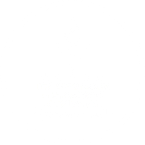 DesignRush top reputation management